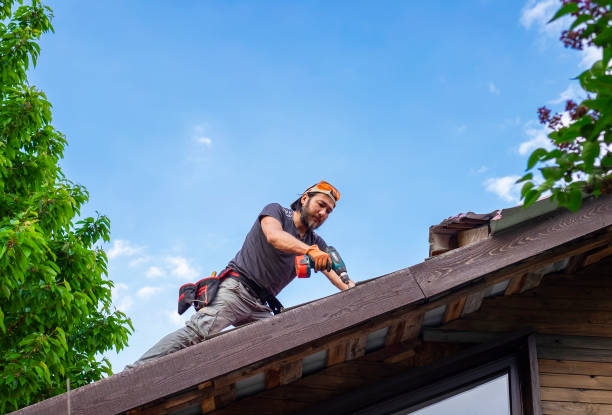 Best Roof Leak Repair  in Beach, ND