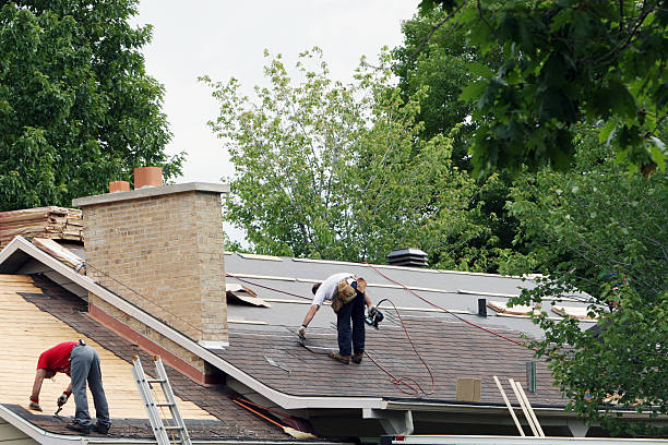 Best Storm Damage Roof Repair  in Beach, ND